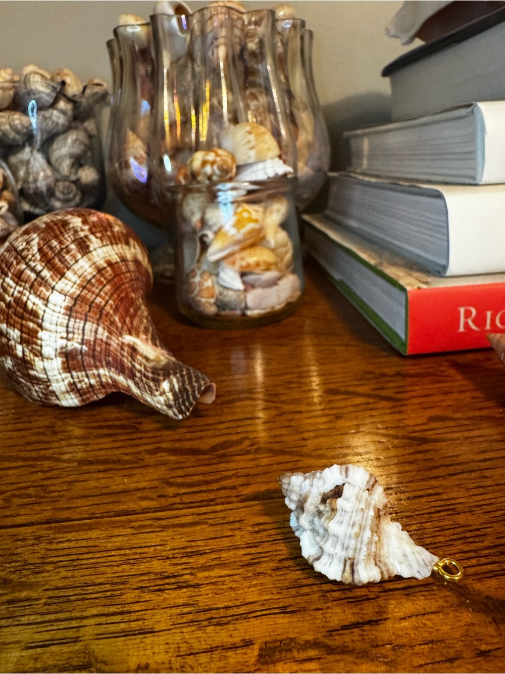 Natural Beach Found White, Cream and Brown Seashell Pendant